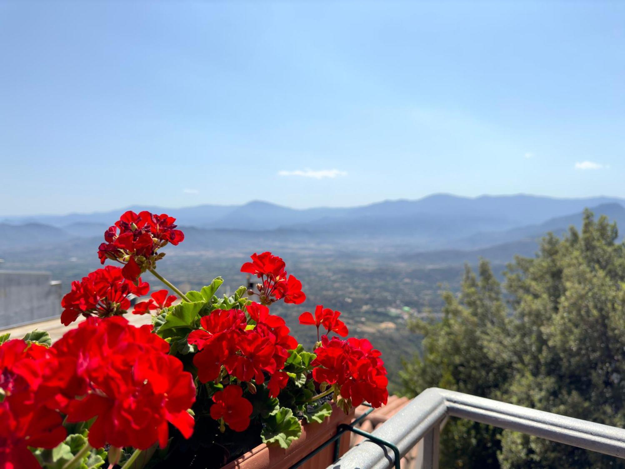 B&B Selvaggio Blu Baunei Exteriér fotografie